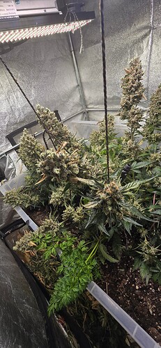 Growreport Bild 9