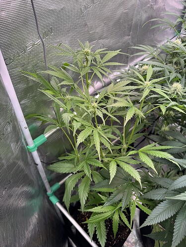 Growreport Bild 8