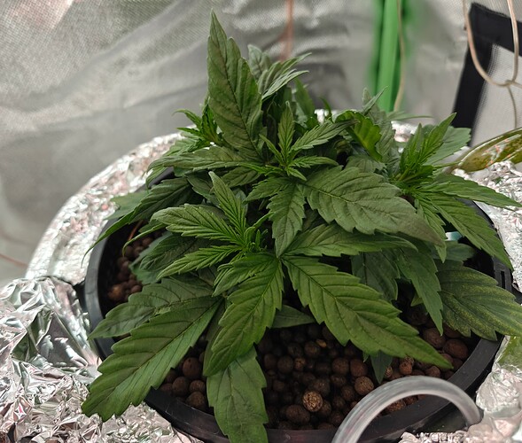 Growreport Bild 24