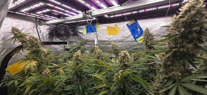Growreport Bild 17