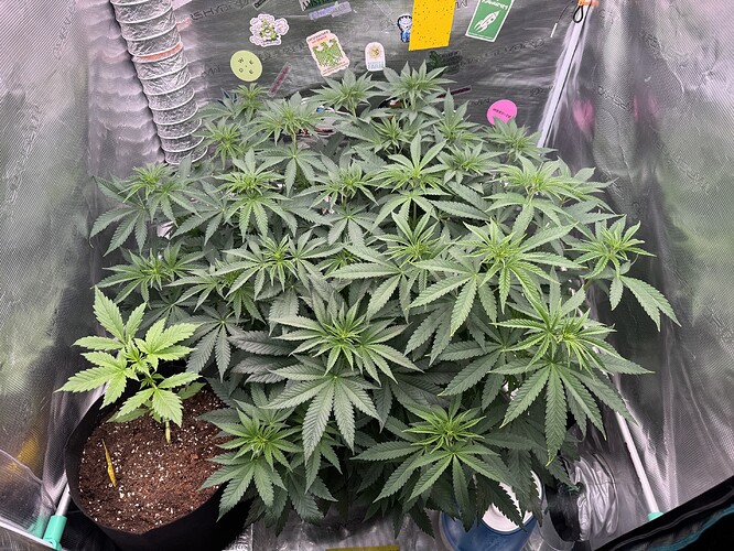 Growreport Bild 8
