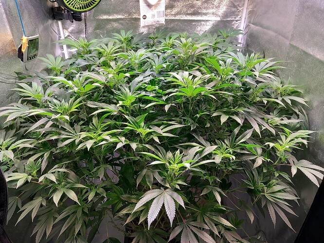 Growreport Bild 21