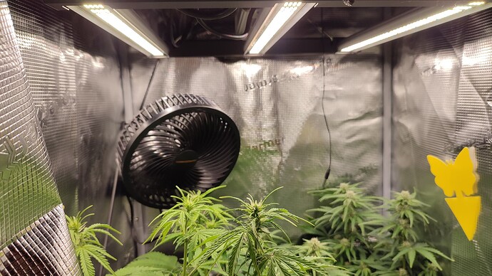 Growreport Bild 1