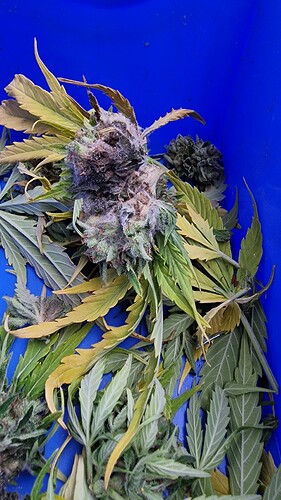 Growreport Bild 22