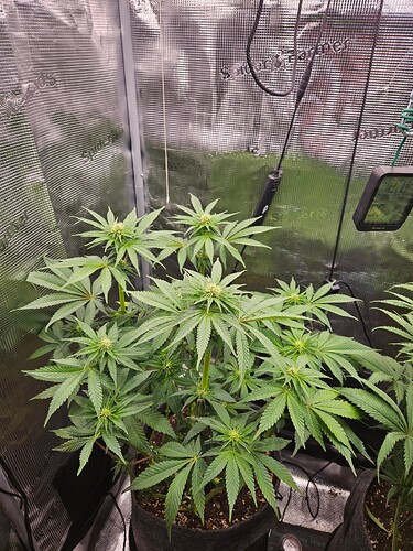 Growreport Bild 6