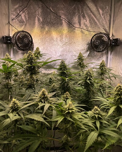 Growreport Bild 2