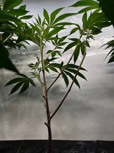 Growreport Bild 10