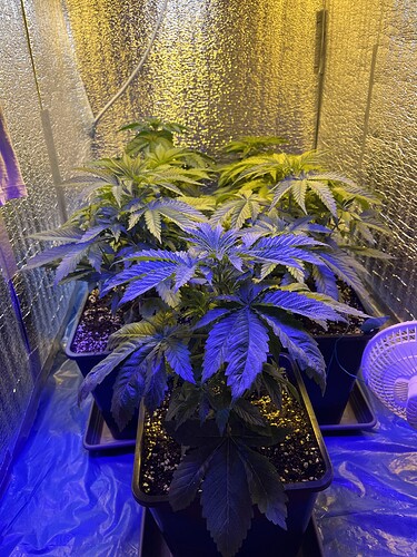 Growreport Bild 9