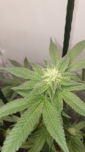 Growreport Bild 11