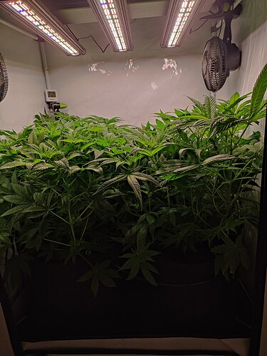 Growreport Bild 4