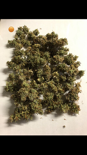 Growreport Bild 3