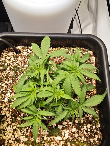 MVIMG_20251007_205014