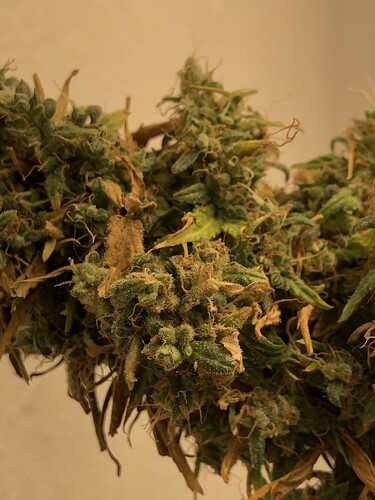 Growreport Bild 3