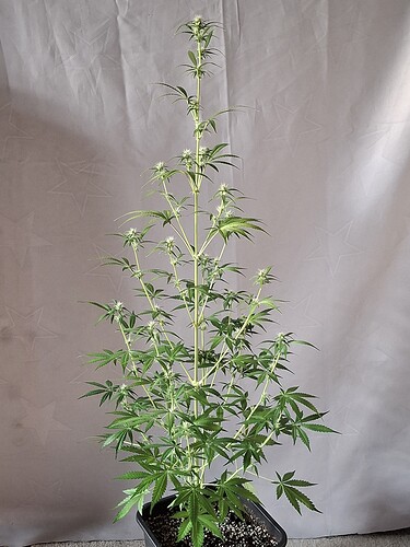 Growreport Bild 180
