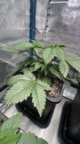 Growreport Bild 2