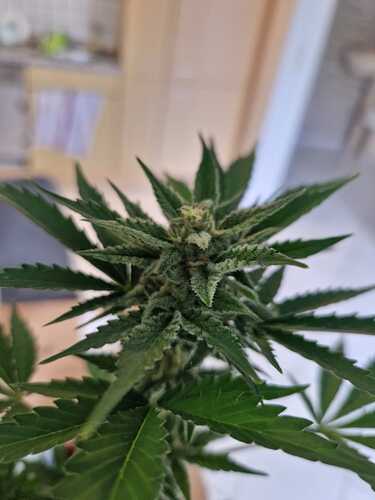 WhatsApp Image 2024-06-27 at 18.04.14 (2)