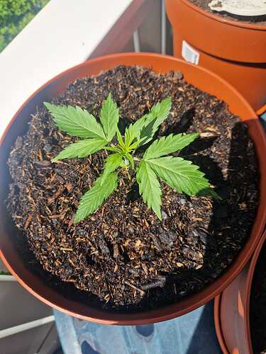 WhatsApp Image 2024-04-30 at 11.58.44