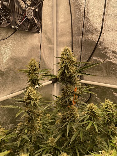 Growreport Bild 18