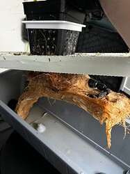 Growreport Bild 6