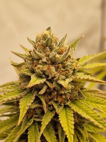 Growreport Bild 18