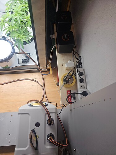 Growreport Bild 3