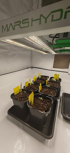 Growreport Bild 1