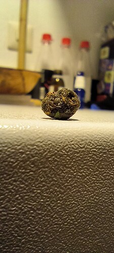 Growreport Bild 47