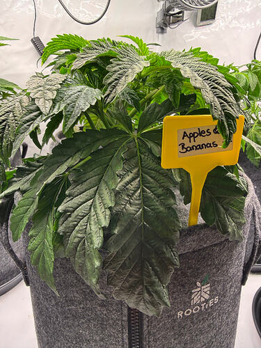 Growreport Bild 23
