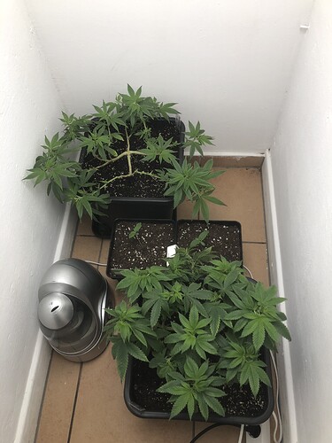 Growreport Bild 11