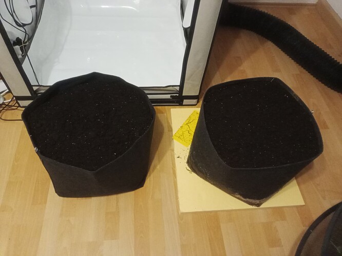 Growreport Bild 40