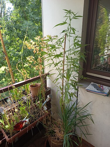 Growreport Bild 5
