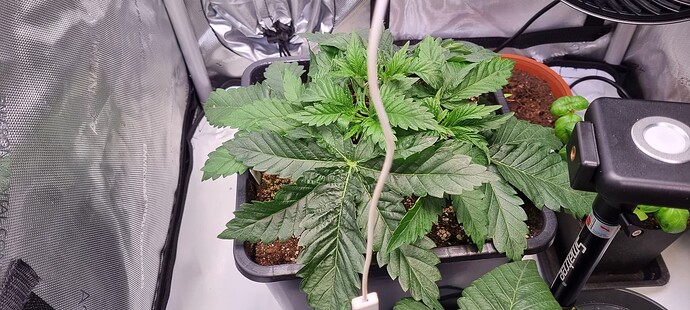 Growreport Bild 24