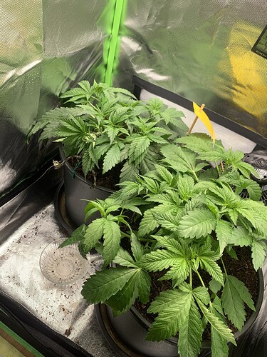 Growreport Bild 21