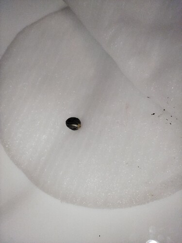 Growreport Bild 3
