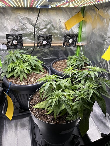 Growreport Bild 3