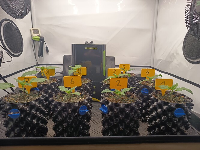 Growreport Bild 2