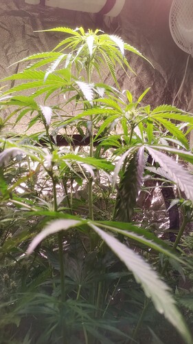 IMG_20240513_092801_447