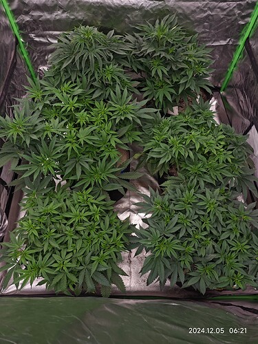Growreport Bild 6