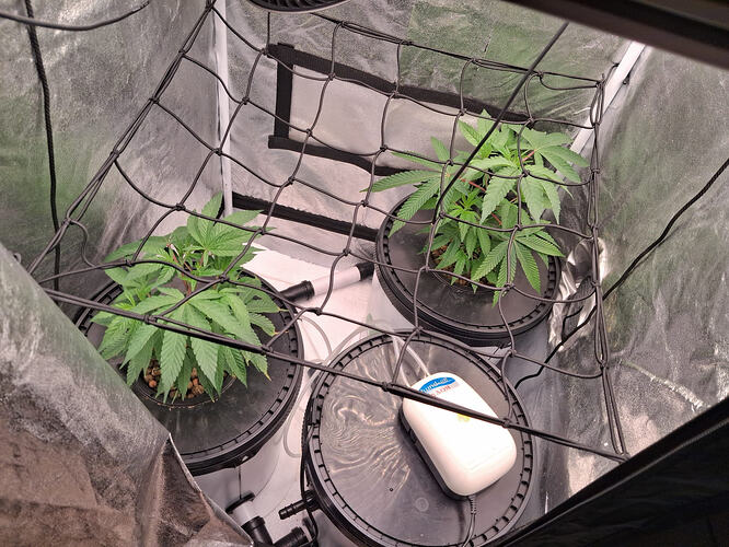 WhatsApp Image 2026-02-02 at 10.58.47 (1)