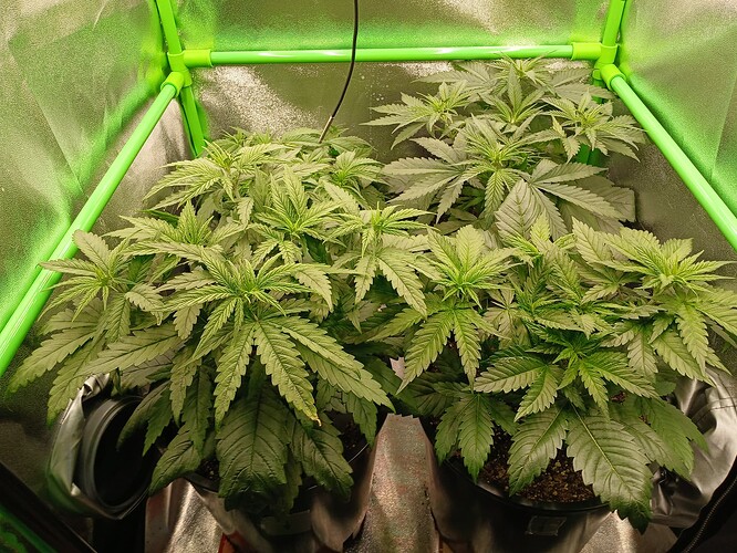 Growreport Bild 16