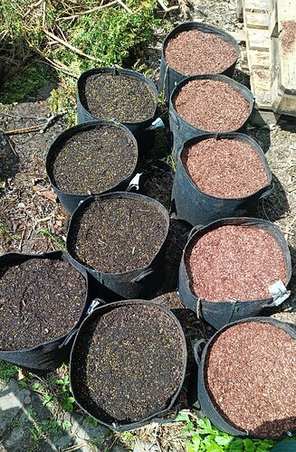 IMG_20250426_125504_487