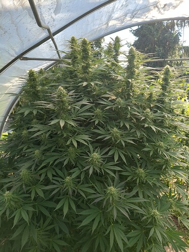 2025-10-02-16-12-31-345