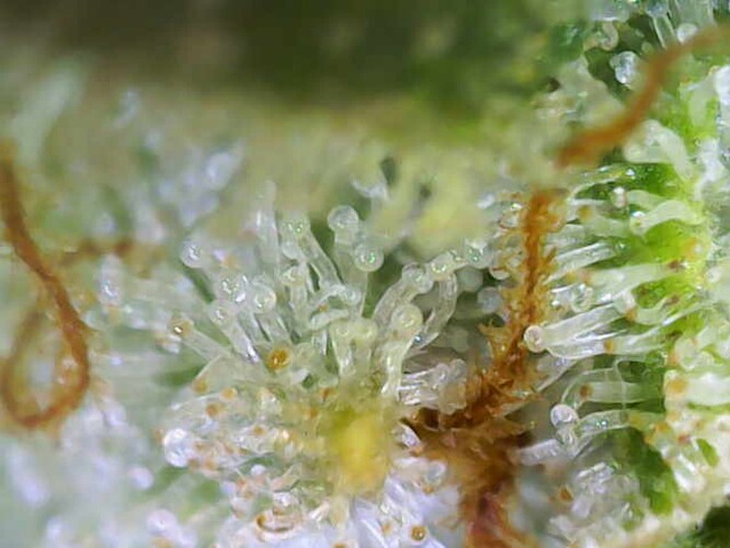 Growreport Bild 12