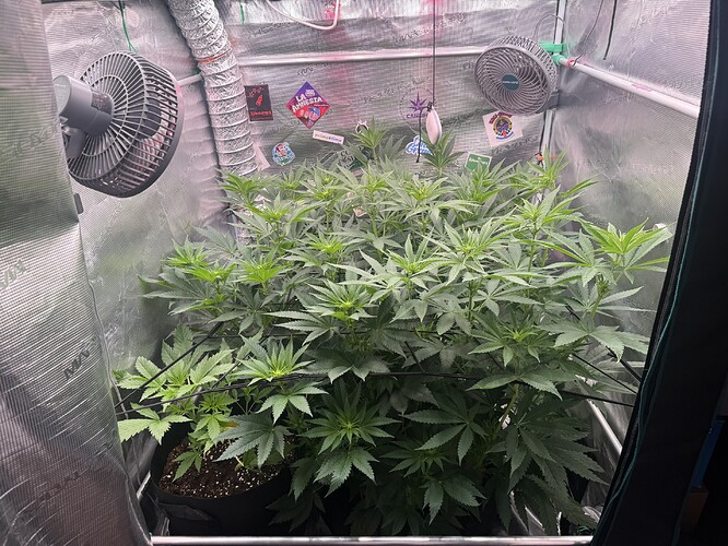 Growreport Bild 2