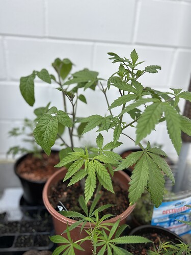 Growreport Bild 4
