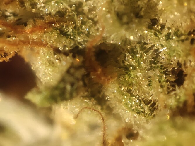 Growreport Bild 22