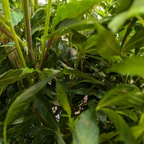 Growreport Bild 14