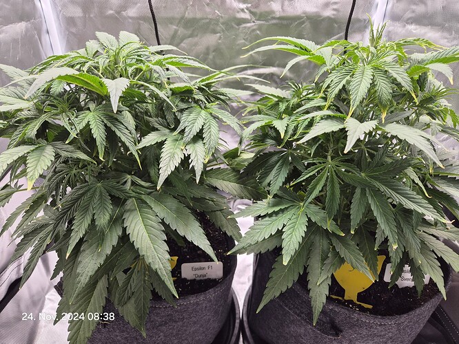 Growreport Bild 14