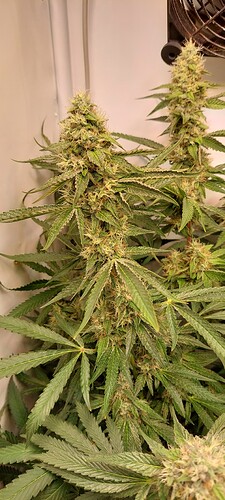 Growreport Bild 5