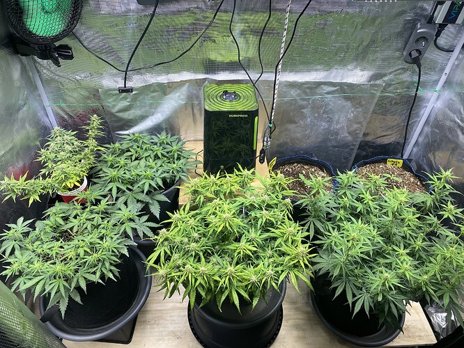 Growreport Bild 28